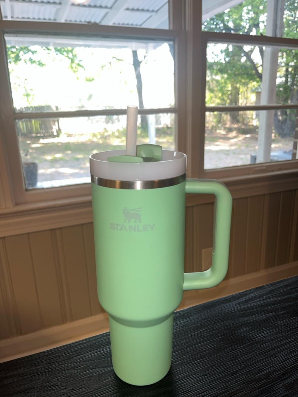 40 oz Stanley Quencher H2O Tumbler Insulated Handle Tumbler with Straw in “Jade”